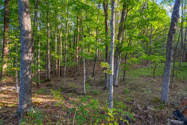 Cunningham, TN 37052,4447 Baggett Hollow Rd