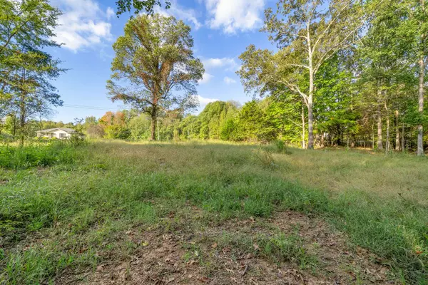 4447 Baggett Hollow Rd, Cunningham, TN 37052