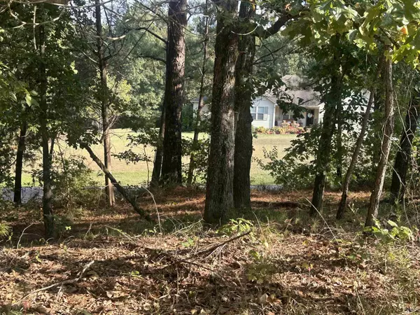 Henderson, TN 38340,5865 ENVILLE RD