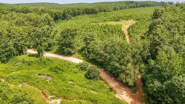 Savannah, TN 38372,0 FOX LN