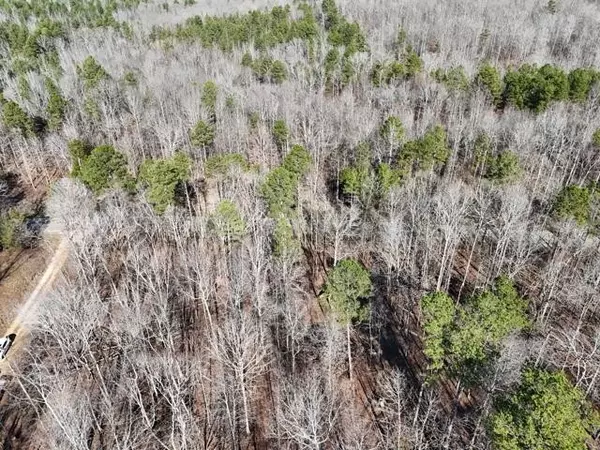 Savannah, TN 38372,440 PYBURNS DR