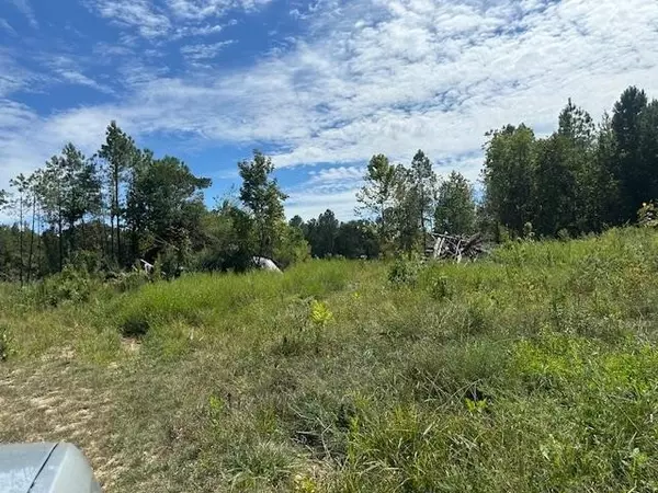 Adamsville, TN 38310,698 W MAIN ST