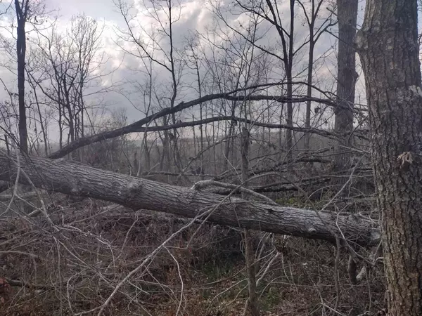 Adamsville, TN 38310,1670 PURON RD