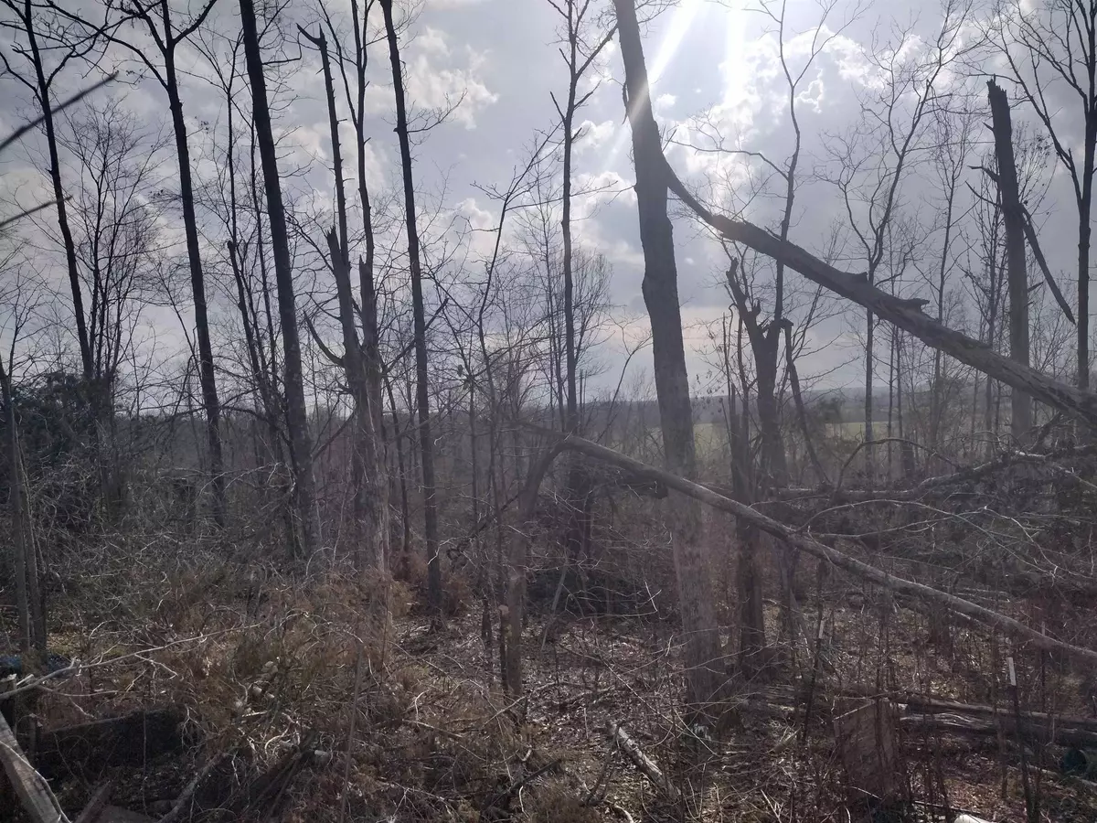 Adamsville, TN 38310,1670 PURON RD