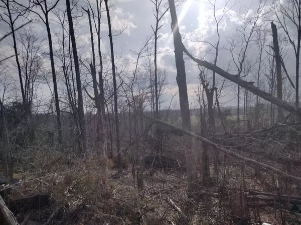 1670 PURON RD, Adamsville, TN 38310