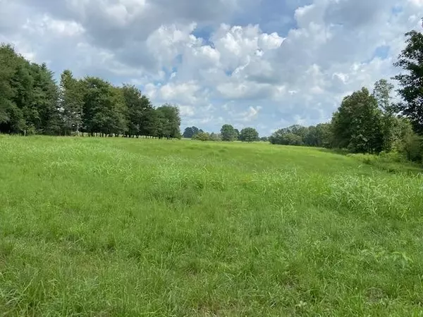 Leoma, TN 38468,311 RABBIT TRAIL RD