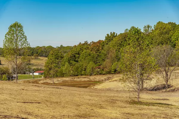 Bethpage, TN 37022,2 Rock Bridge Rd