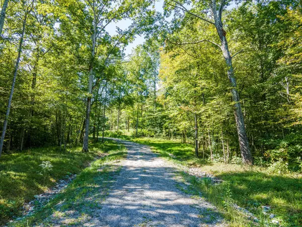 Fairview, TN 37062,7483 Liberty Rd