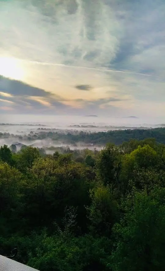 Brentwood, TN 37027,1426 Robert E Lee Ln