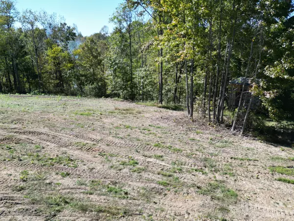 Pulaski, TN 38478,2T Gunter Hollow Road