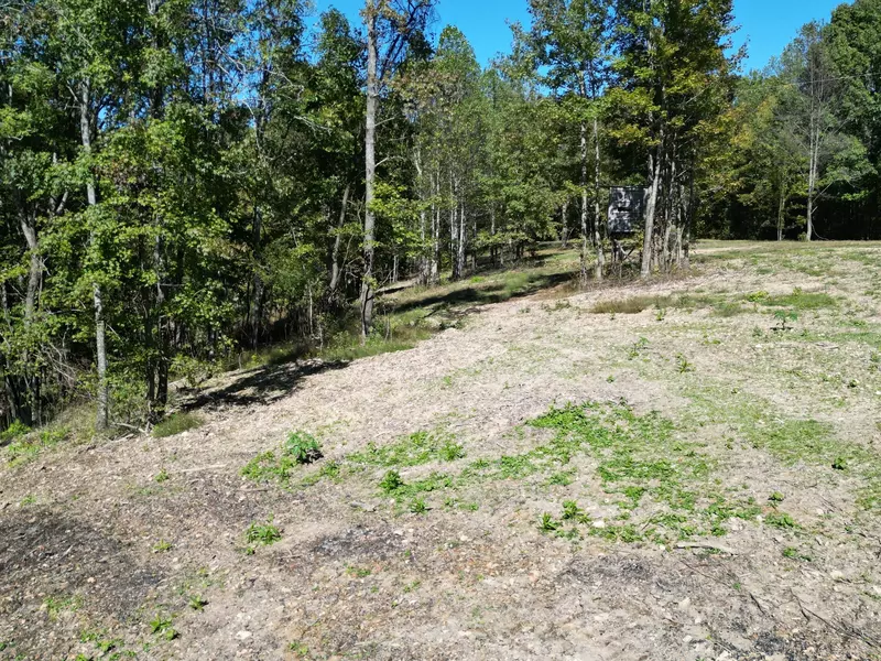 3T Gunter Hollow Road, Pulaski, TN 38478