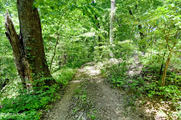 Knoxville, TN 37931,0 Koon Lane