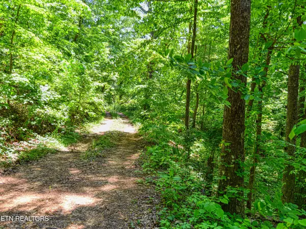 Knoxville, TN 37931,0 Koon Lane