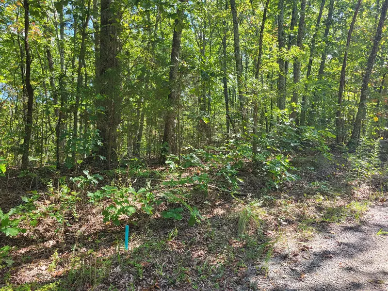 8 Strawberry Gables, Holladay, TN 38341
