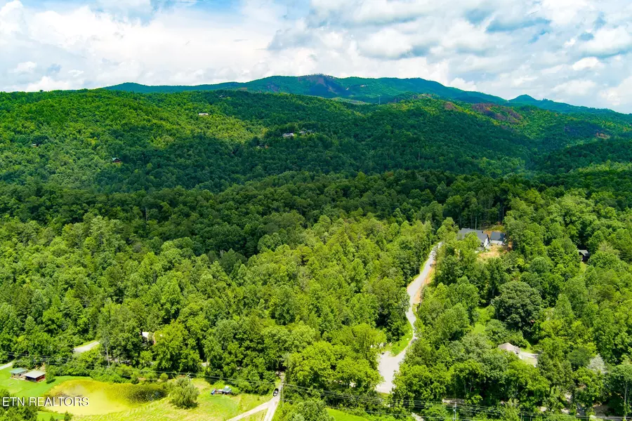 424 Tunis Rd, Sevierville, TN 37876