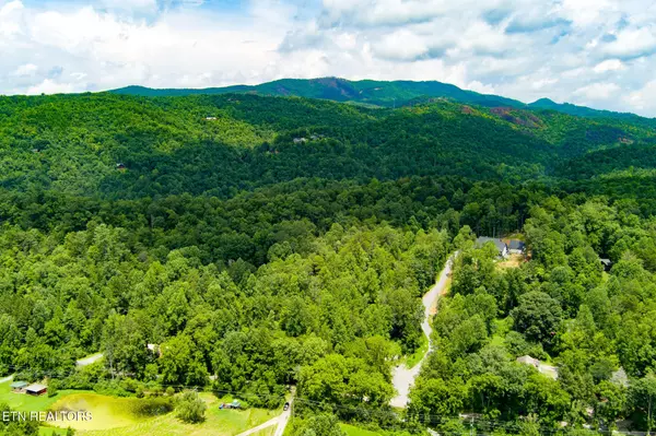 424 Tunis Rd, Sevierville, TN 37876