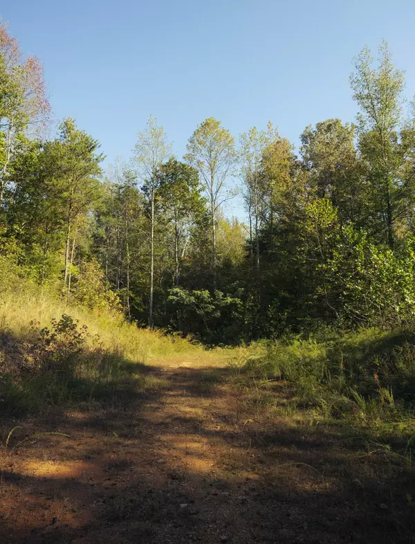 Waverly, TN 37185,5845 Turkey Creek Rd