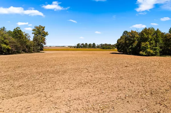 Orlinda, TN 37141,0 Hulsey Rd