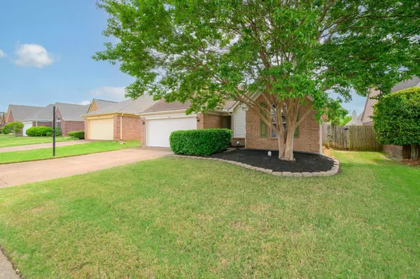 Cordova, TN 38018,6937 LUXOR LN