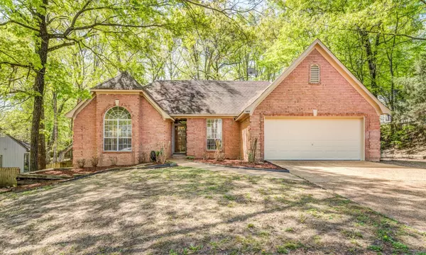 8511 E CHIPPINGHAM DR, Cordova, TN 38016