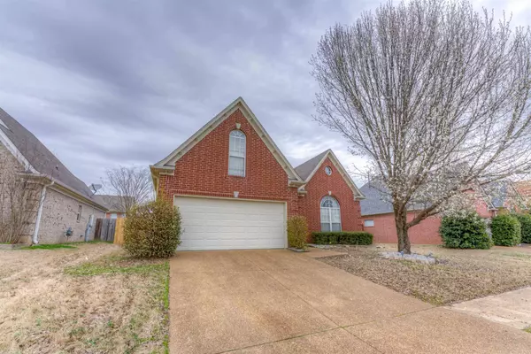 10198 TALL HICKORY DR, Cordova, TN 38016
