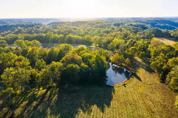 Pulaski, TN 38478,3345 Pigeon Roost Rd