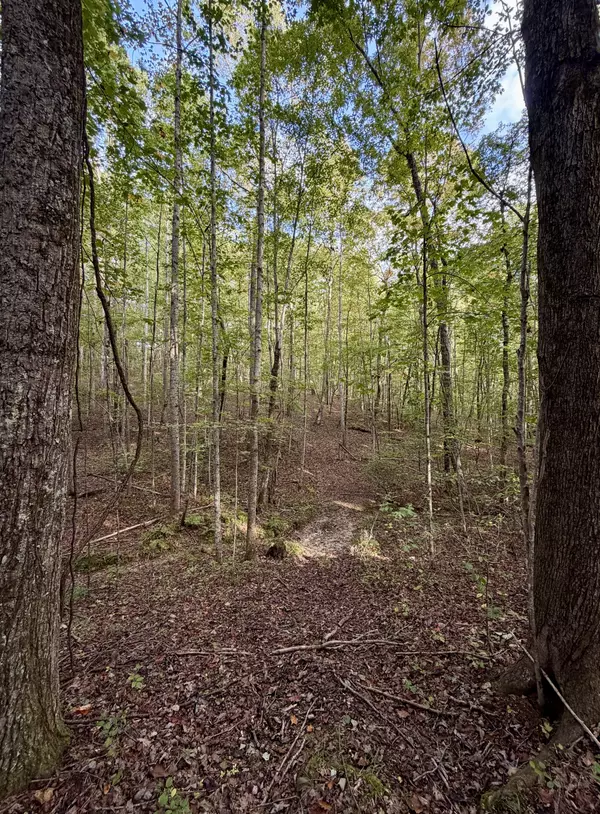 South Pittsburg, TN 37380,1 Three Forks Rd