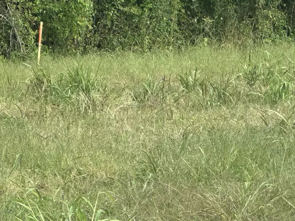 Springfield, TN 37172,0 N Pitt Road