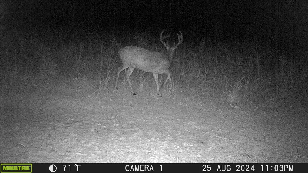 1722 Park Road, Holladay, TN 38341