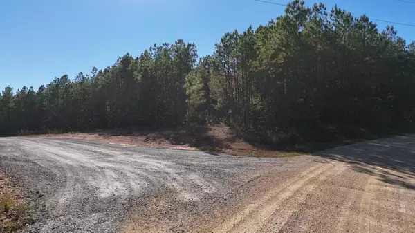 Hohenwald, TN 38462,111 Hillbrook Dr