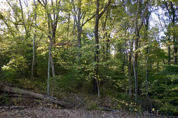 Fairview, TN 37062,0 King Rd