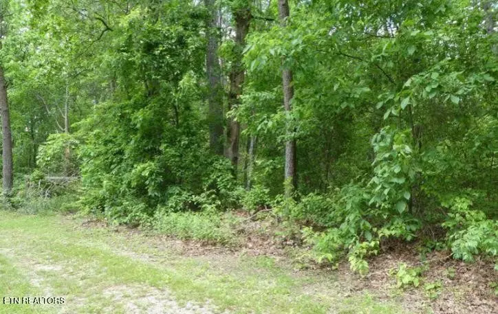 0 George Young Rd, Jamestown, TN 38556