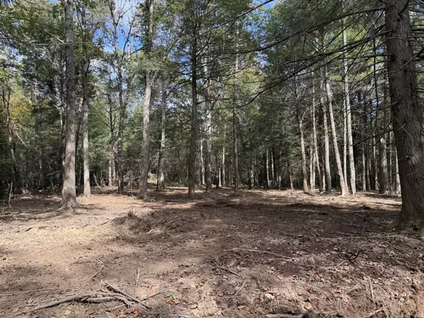 Crossville, TN 38572,0 Newton Rd