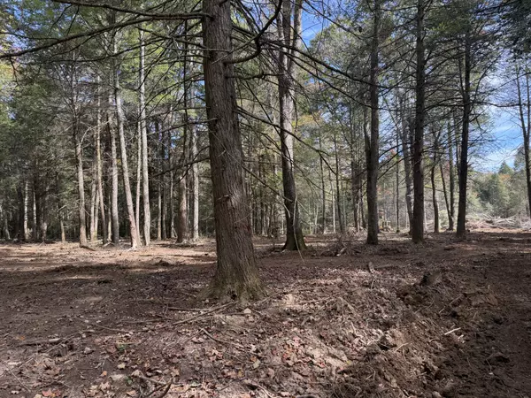 Crossville, TN 38572,0 Newton Rd