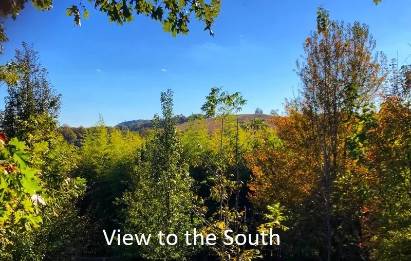 Lewisburg, TN 37091,0 New Lake Road