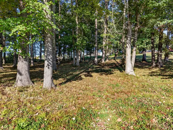 Fayetteville, TN 37334,0 Knotting Hill Dr