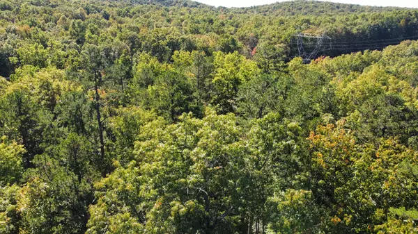 Monterey, TN 38574,0 Johnson Place #N