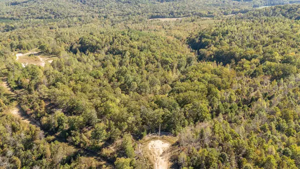 Clifton, TN 38425,0 Cotton Court Rd