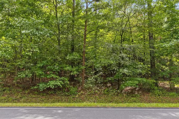 Chatsworth, GA 30705,41 Conniston Road