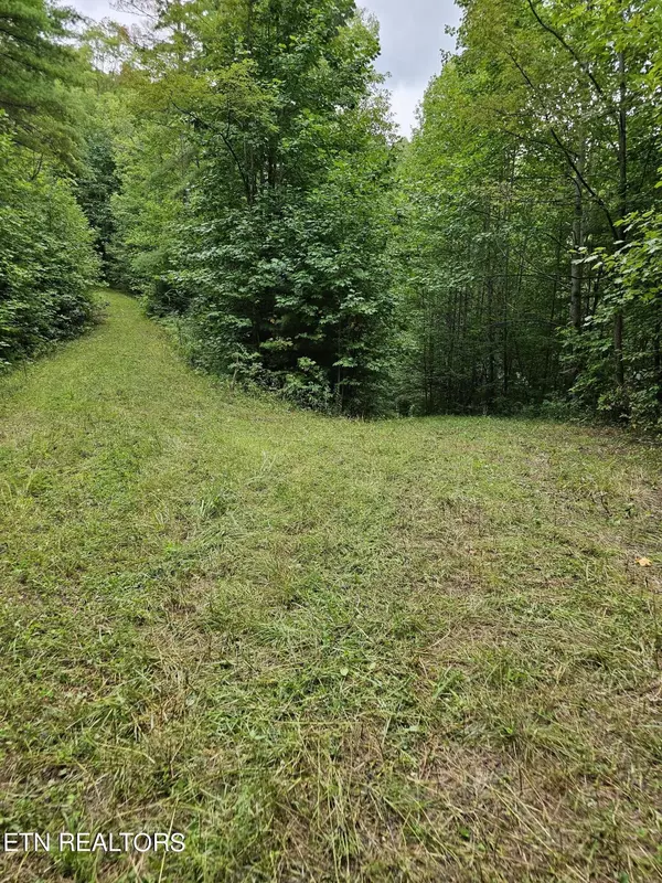 Del Rio, TN 37727,0 Bull Mtn Rd