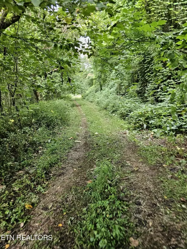 Del Rio, TN 37727,0 Bull Mtn Rd