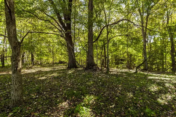 Portland, TN 37148,0 Harper Road