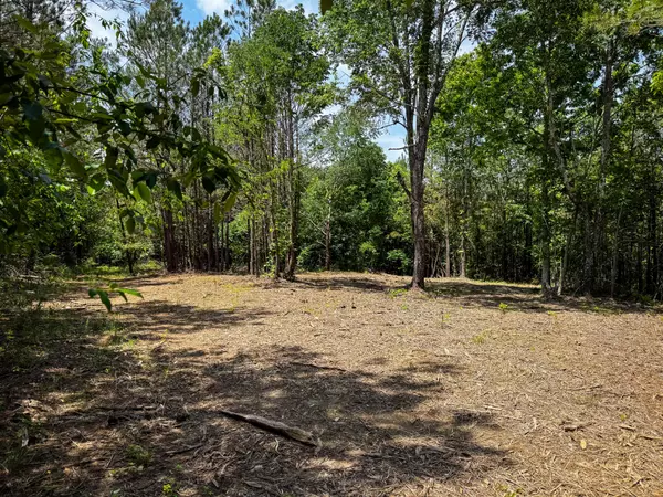 0 Old Mail Road, Duck River, TN 38454