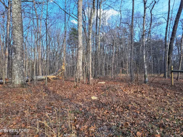 541 Diane Circle, Crossville, TN 38572