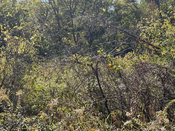 Petersburg, TN 37144,0 Hwy 130 #W