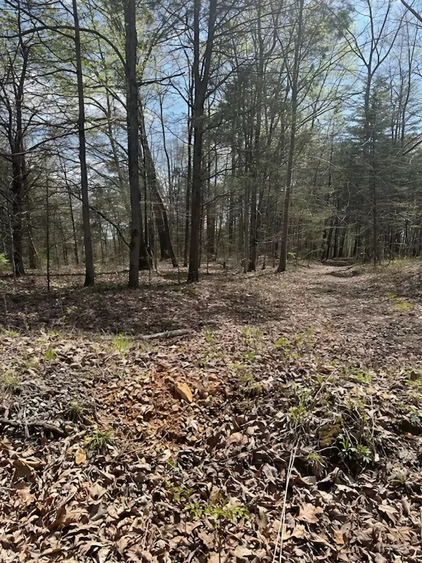 Charlotte, TN 37036,3601 Bowker Rd