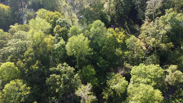 Baxter, TN 38544,0 Hillrose Drive