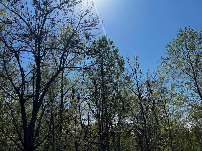 0 Shores Trail, Stewart, TN 37175