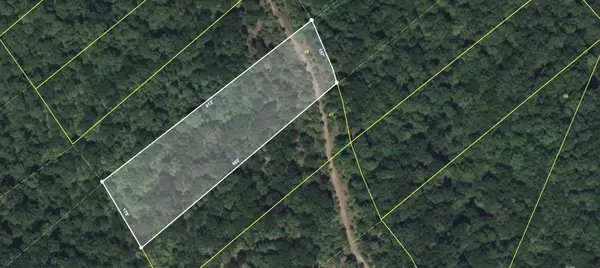 Stewart, TN 37175,0 Shores Trail