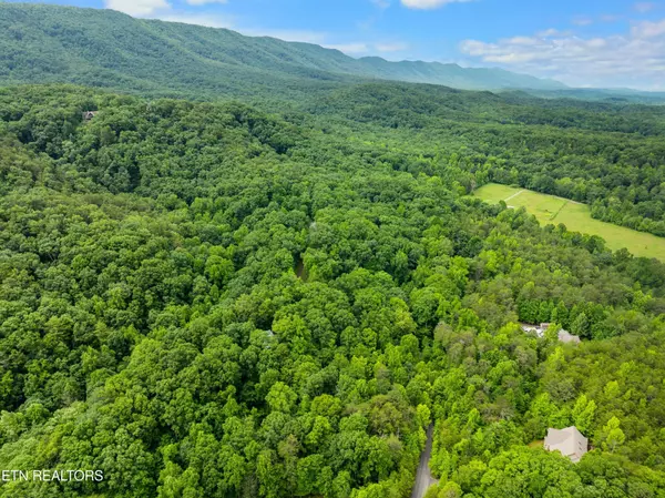 Maryville, TN 37803,750 Blue Beech Drive